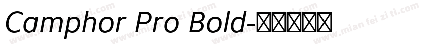 Camphor Pro Bold字体转换